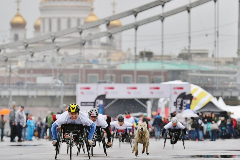 Открылась регистрация на Зелёный марафон «Бегущие сердца». Изображение номер 11