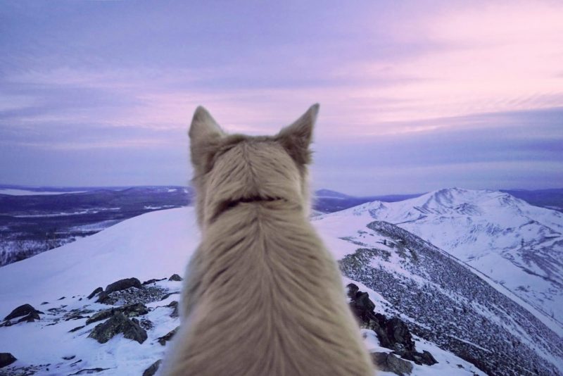 Samsung приглашает на презентацию социального проекта «За горизонт». Изображение номер 2