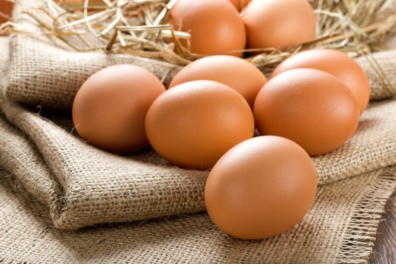 Употребление яиц может уберечь от развития рака груди. Изображение номер 1