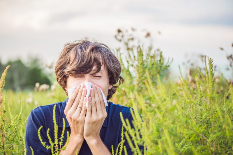 Как пережить весну: 20 полезных советов при аллергии. Изображение номер 1