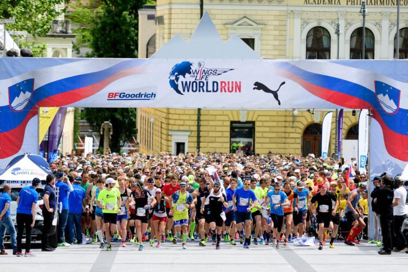 Шведский колясочник стал чемпионом мира в забеге Wings for Life 2017. Изображение номер 1