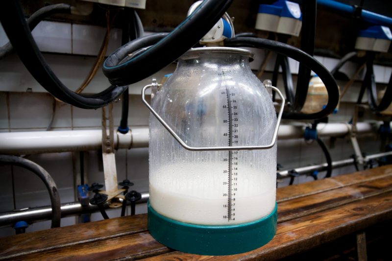 6 фактов о молочной продукции, о которых вы не знали. Изображение номер 6