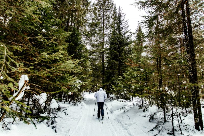 Как научиться кататься на лыжах за месяц: гид для новичков. Изображение номер 7