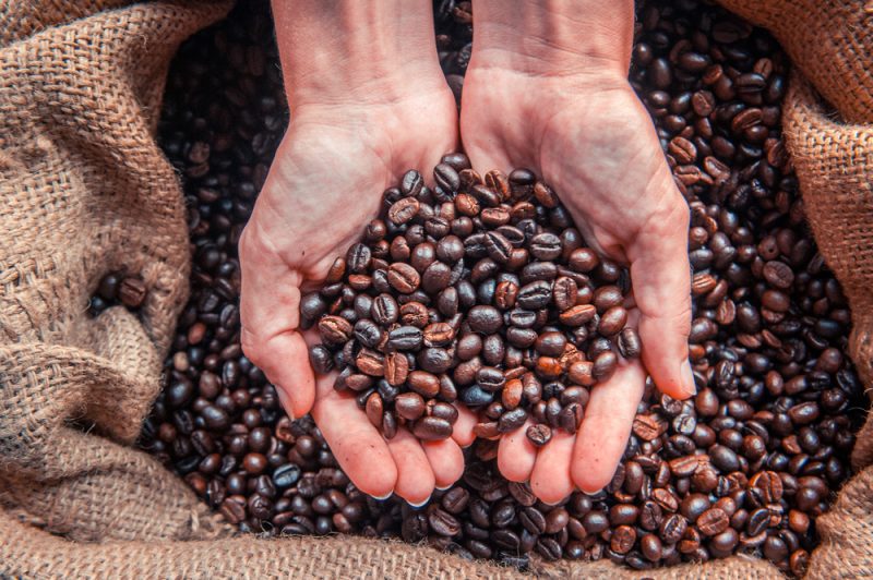 Всё, что вы хотели знать о кофе: виды зёрен и как их правильно выбрать в магазине. Изображение номер 6