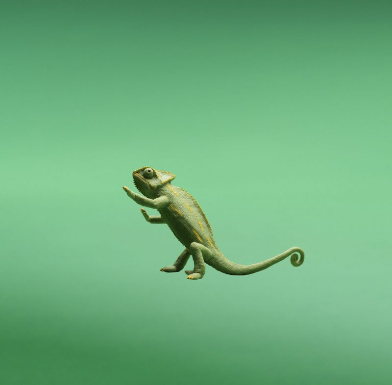 adidas Originals представляет коллекцию adicolor сезона весна-лето — 2018. Изображение номер 12