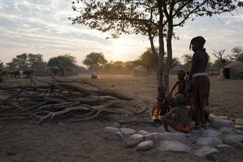 National Geographic и МТС запустили инициативу «Наш дом — планета Земля». Изображение номер 3