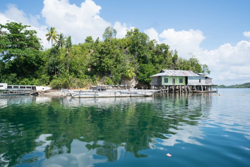 National Geographic и МТС запустили инициативу «Наш дом — планета Земля». Изображение номер 4