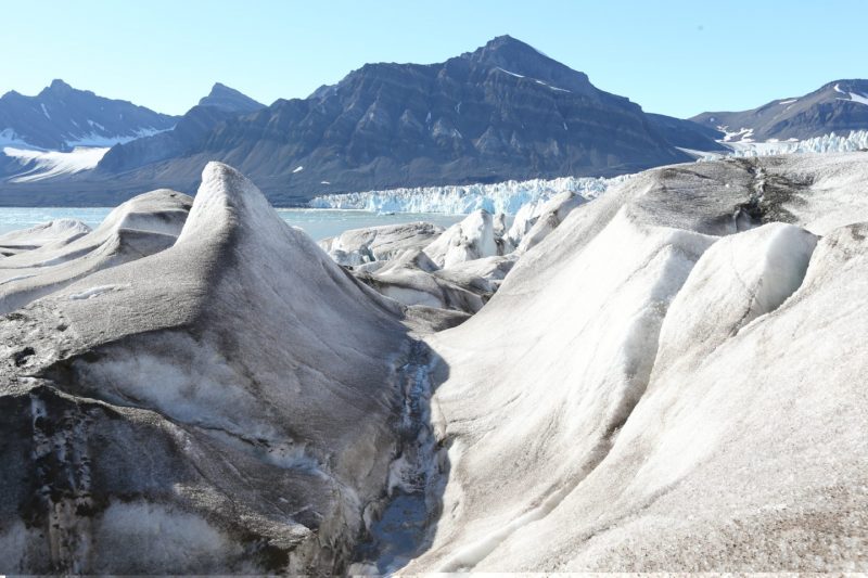 National Geographic и МТС запустили инициативу «Наш дом — планета Земля». Изображение номер 5