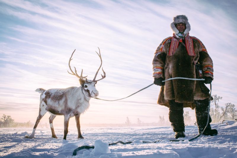 National Geographic и МТС запустили инициативу «Наш дом — планета Земля». Изображение номер 8