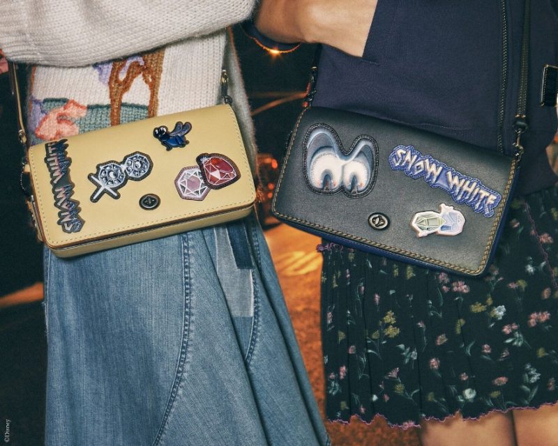Модный дом Coach и Disney представили совместную коллекцию «Тёмная сказка». Изображение номер 2