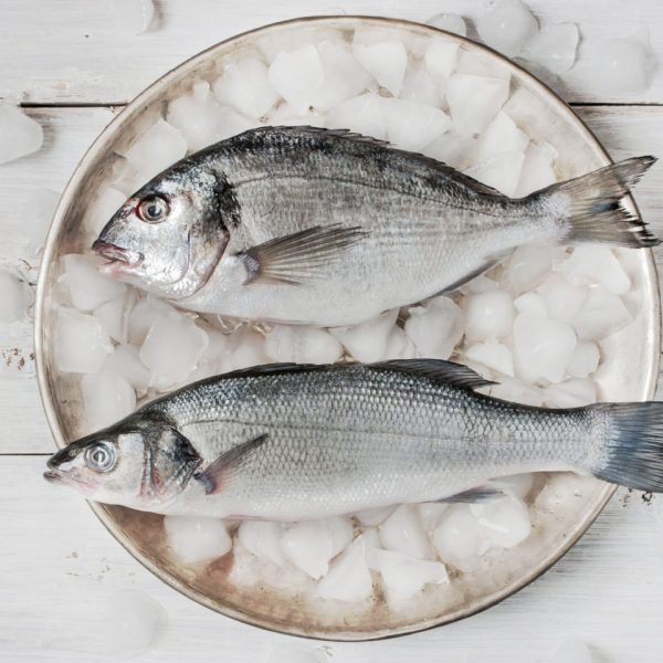 В чем отличие между сибасом и морским окунем в рыбалке?