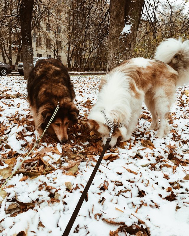 «В наше время, когда чувства и отношения стали одноразовыми, хочется быть полезным кому-то». 4 истории неравнодушных людей. Изображение номер 9