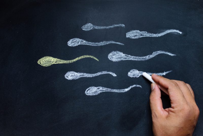 Всё, что нужно знать о мужской контрацепции. Изображение номер 1