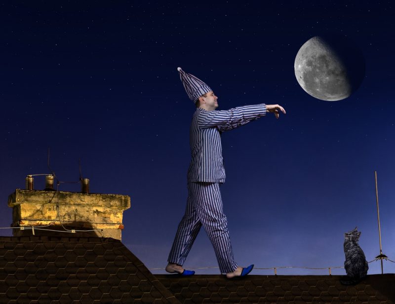 Лунатизм: ходить во сне — опасно или нормально. Изображение номер 3