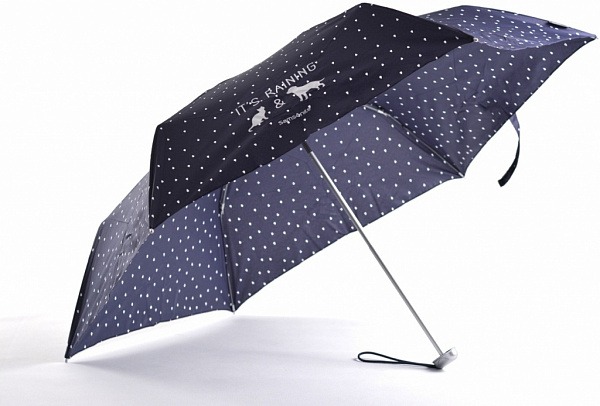 7 классных зонтов, которые защитят даже от самого сильного ливня. Изображение номер 1