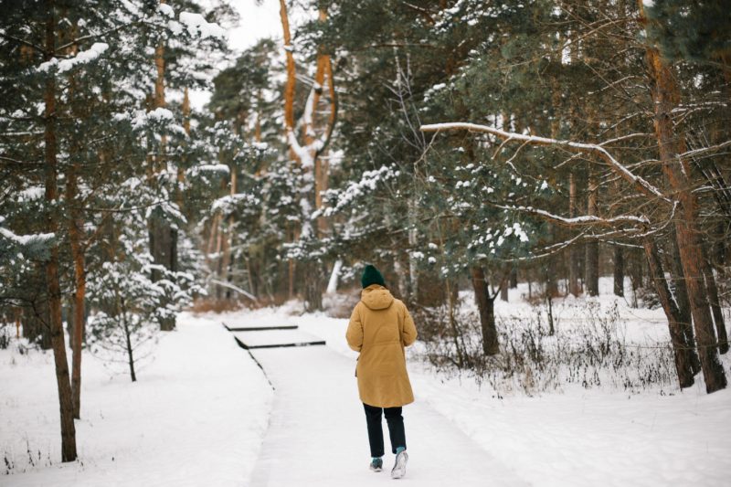 Как активно провести зиму: медитативные прогулки в лесу. Изображение номер 1