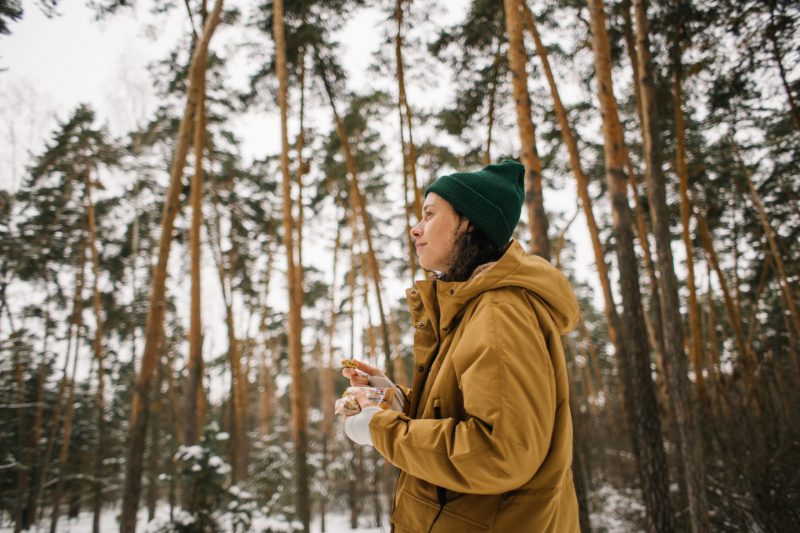 Как активно провести зиму: медитативные прогулки в лесу. Изображение номер 3