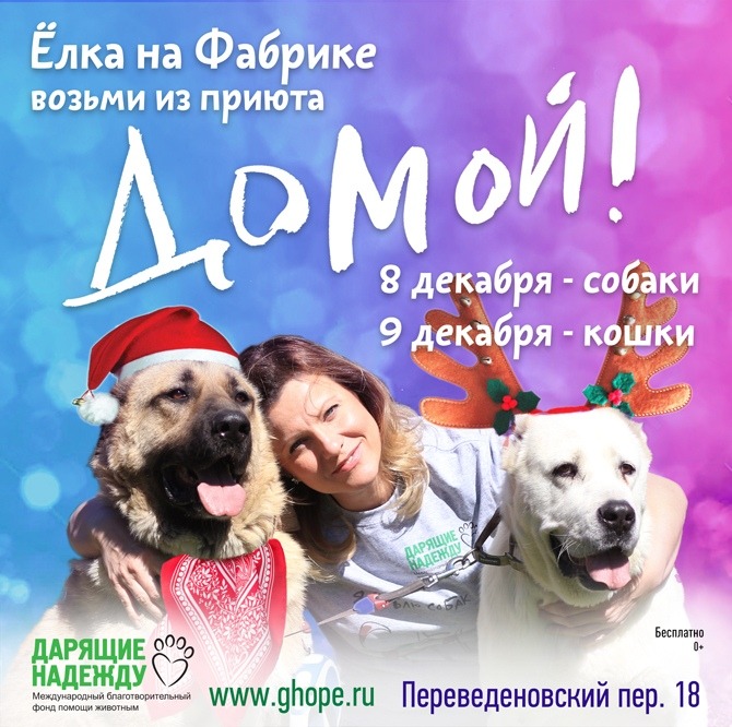 В Москве пройдёт выставка-пристройство животных «Домой!». Изображение номер 1