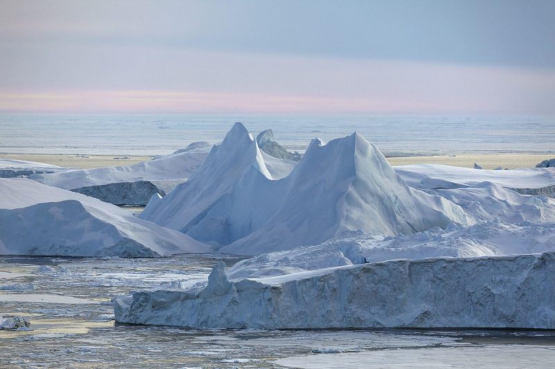 Есть ли жизнь в Арктике: рассказ учёного-полярника. Изображение номер 3