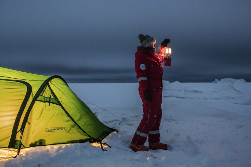 Есть ли жизнь в Арктике: рассказ учёного-полярника. Изображение номер 2