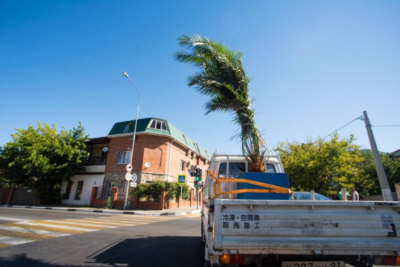 «Наша победа стала сенсацией»: 7 вопросов к основателю любительской футбольной команды. Изображение номер 3
