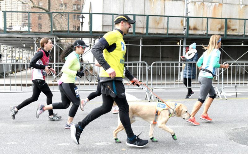Незрячий бегун финишировал на Нью-Йоркском полумарафоне с тремя собаками-поводырями. Изображение номер 1