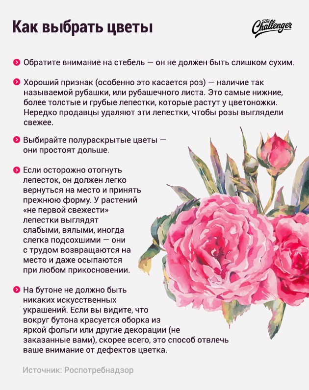 На что обращать внимание при покупке цветов. Изображение номер 1