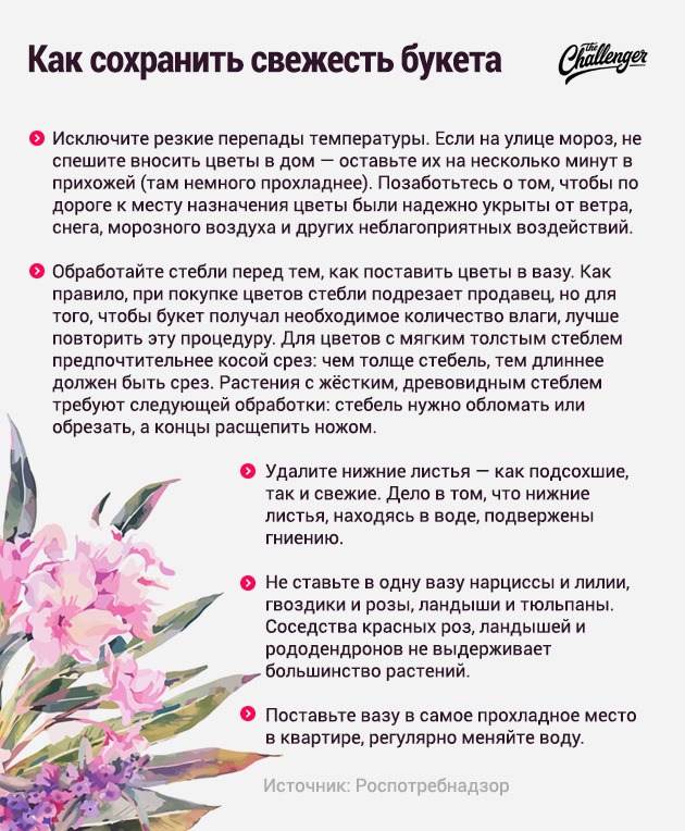 На что обращать внимание при покупке цветов. Изображение номер 2
