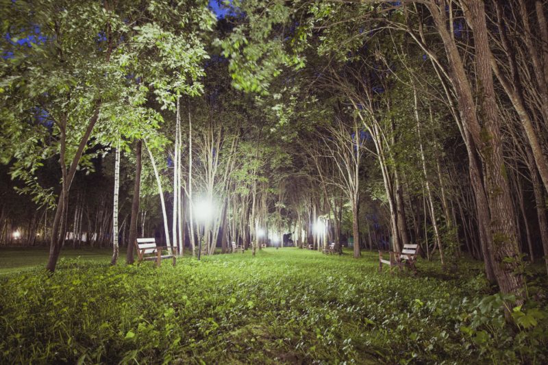 Наш выбор: подмосковный экоотель «Флагман». Изображение номер 1