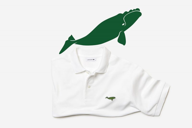 Lacoste выпустила поло с изображением вымирающих видов животных. Изображение номер 5