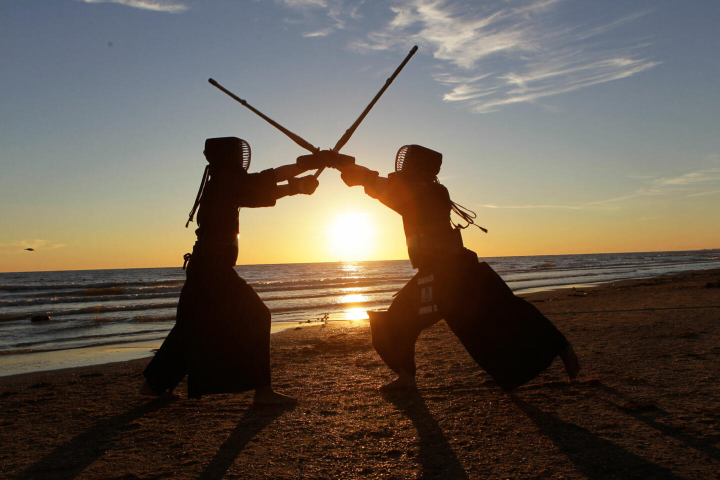 В Москве пройдёт неделя Японии. Изображение номер 2