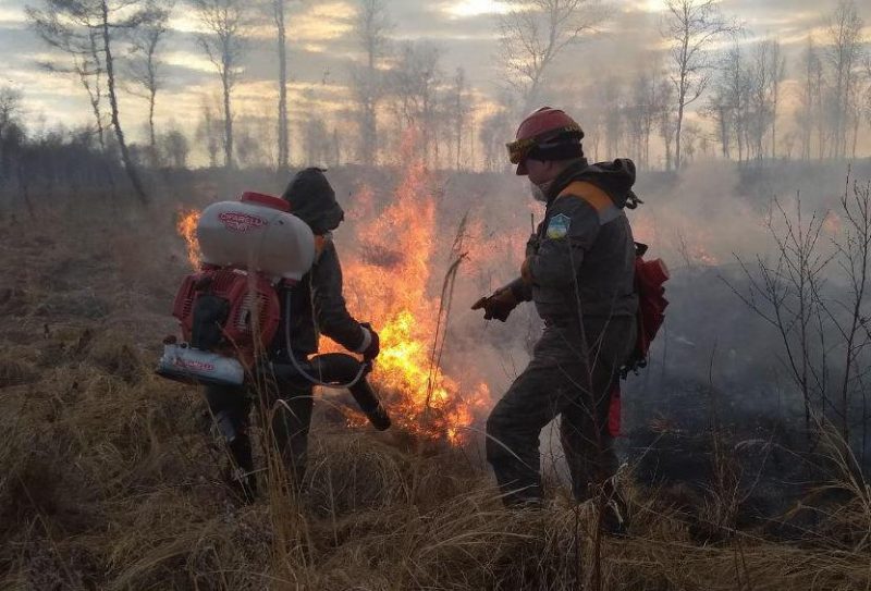 «Моё — это вся планета»: почему люди становятся добровольными лесными пожарными и как они спасают лес от огня. Изображение номер 8
