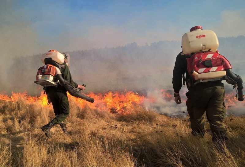 «Моё — это вся планета»: почему люди становятся добровольными лесными пожарными и как они спасают лес от огня. Изображение номер 5