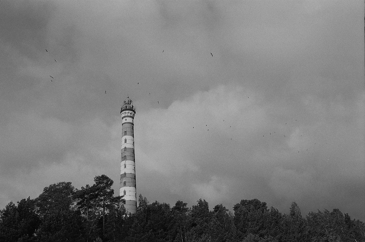 Как Никита Посохов в одиночку переплыл Ладожское озеро: 32 километра по холодной воде. Изображение номер 2