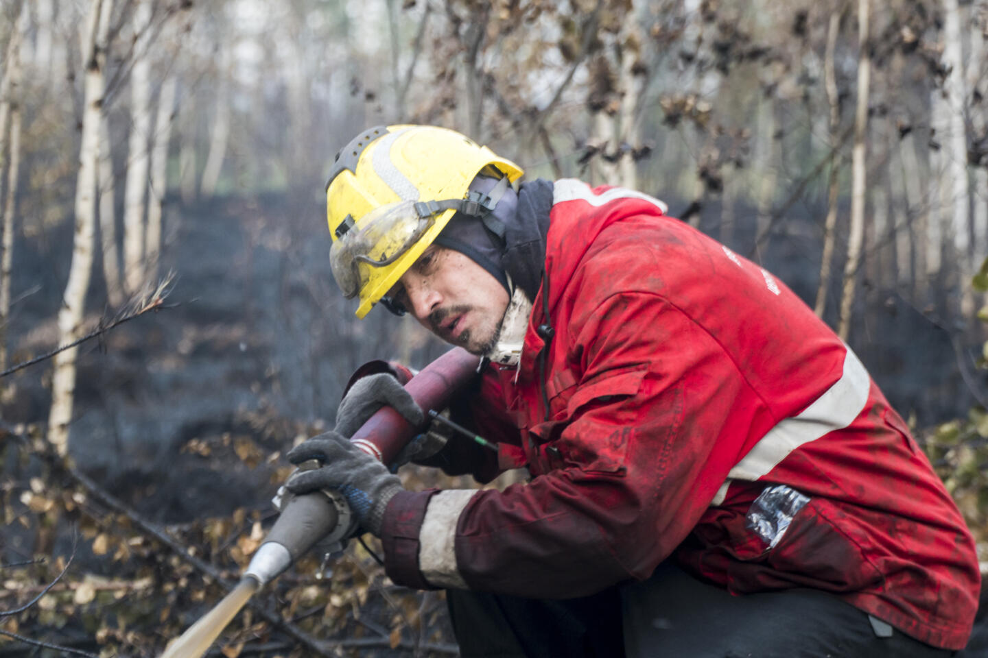 Greenpeace открыл фотовыставку о лесных пожарах. Изображение номер 3