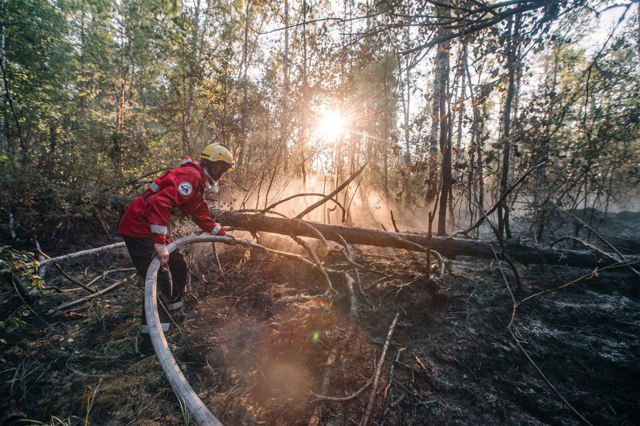Greenpeace открыл фотовыставку о лесных пожарах. Изображение номер 2