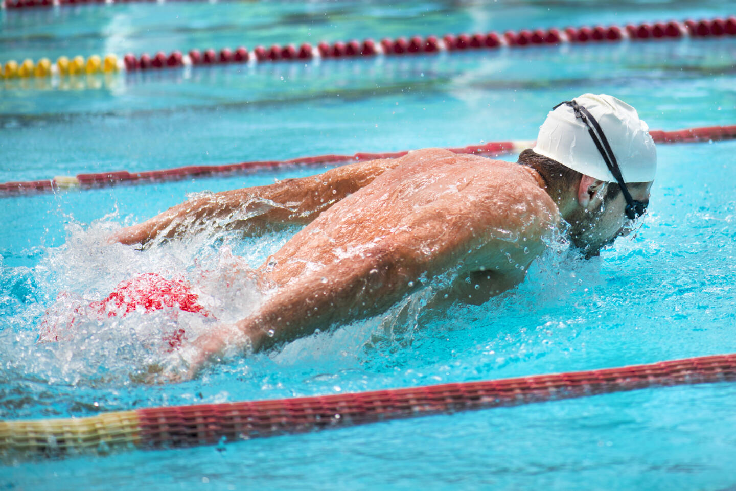 Московская лига плавания проведёт соревнования для любителей. Изображение номер 1