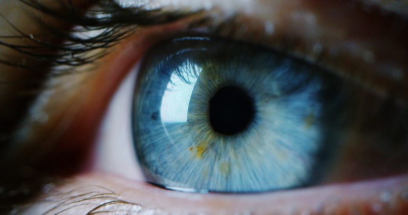 Как не испортить зрение: 10 важных вопросов офтальмологу о здоровье глаз. Изображение номер 1