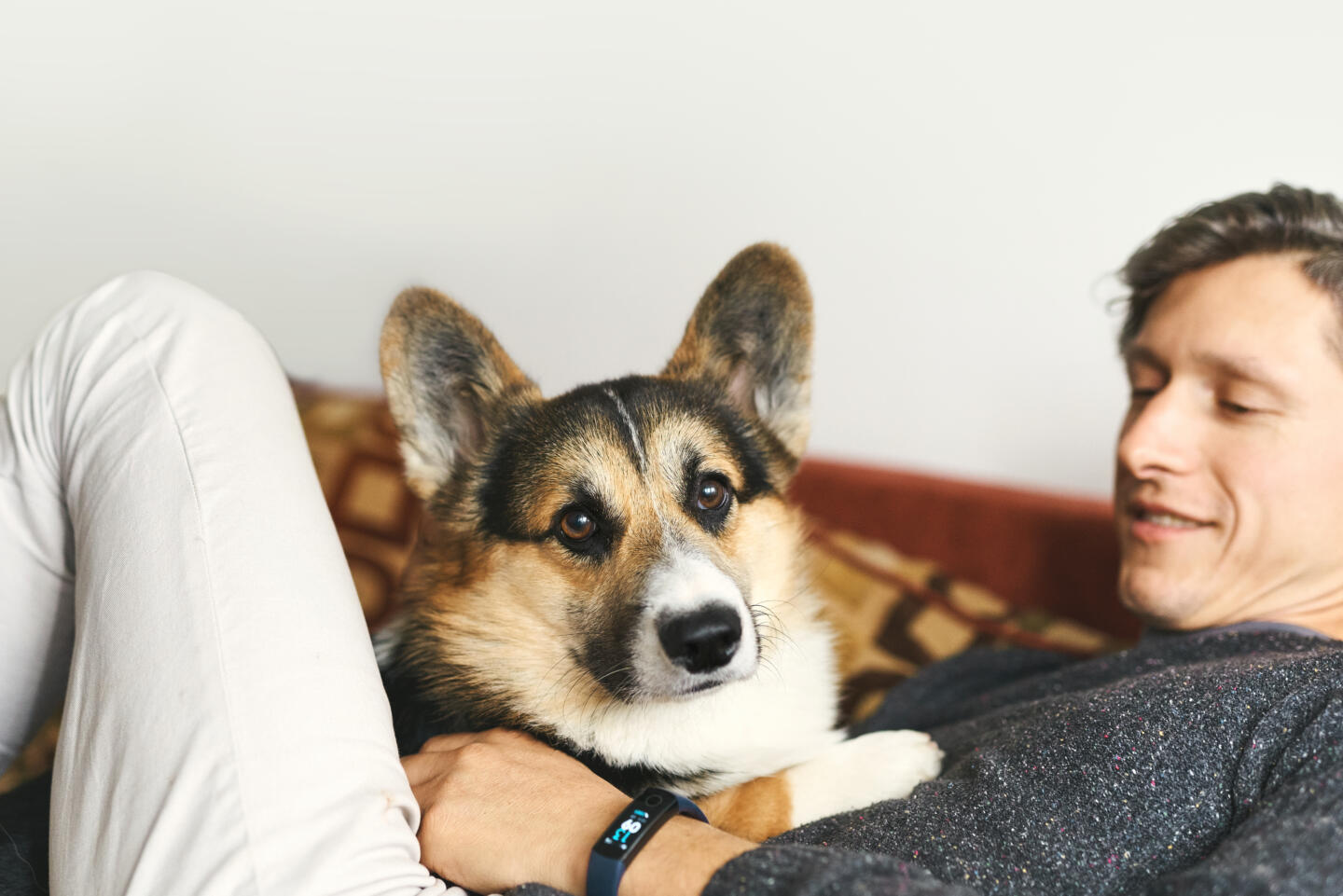 Бренд Royal Canin и приложение Petstory запустили бесплатные консультации с зоопсихологами. Изображение номер 1