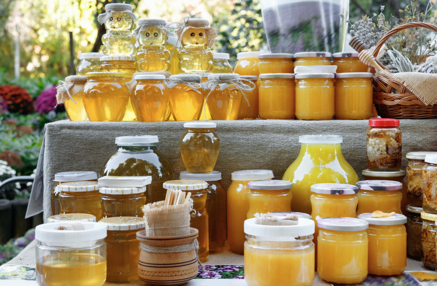 Чем полезен мёд и как выбрать самый вкусный. Изображение номер 3