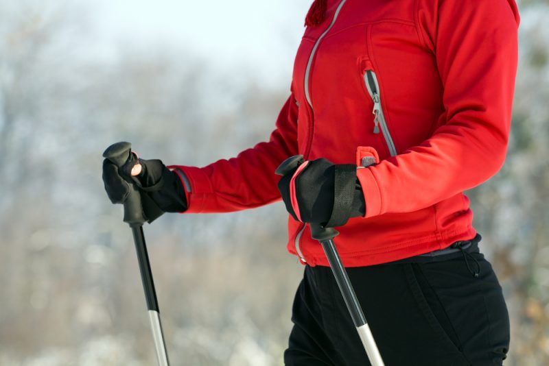 10 самых популярных материалов на The Challenger в 2020 году. Изображение номер 2