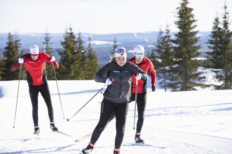 Как подготовить беговые лыжи к сезону: подробная инструкция. Изображение номер 3