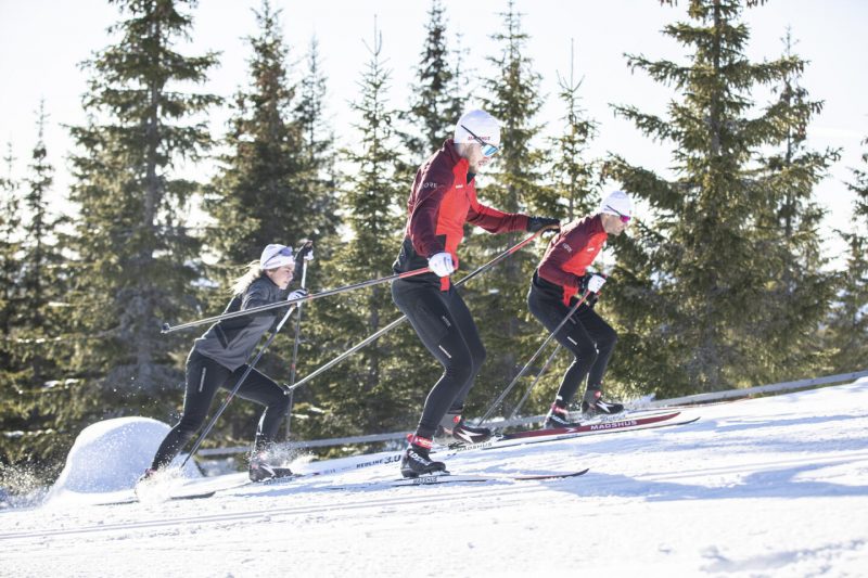 Как подготовить беговые лыжи к сезону: подробная инструкция. Изображение номер 4