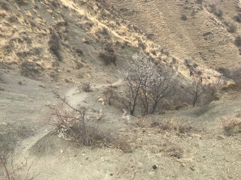 Горный забег Dagestan Wild Trail: как это было. Изображение номер 2