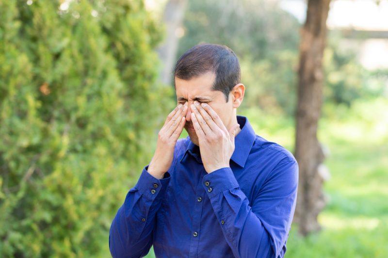 Аллергия: почему возникает и как облегчить симптомы заболевания весной и летом. Изображение номер 2