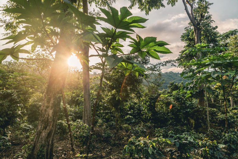 Только посмотри! 8 фильмов московского Beat Film Festival о жизненных достижениях и меняющемся мире. Изображение номер 24