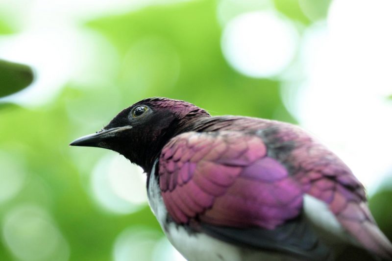 Только посмотри! 8 фильмов московского Beat Film Festival о жизненных достижениях и меняющемся мире. Изображение номер 28