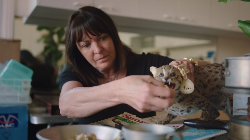 Только посмотри! 8 фильмов московского Beat Film Festival о жизненных достижениях и меняющемся мире. Изображение номер 33