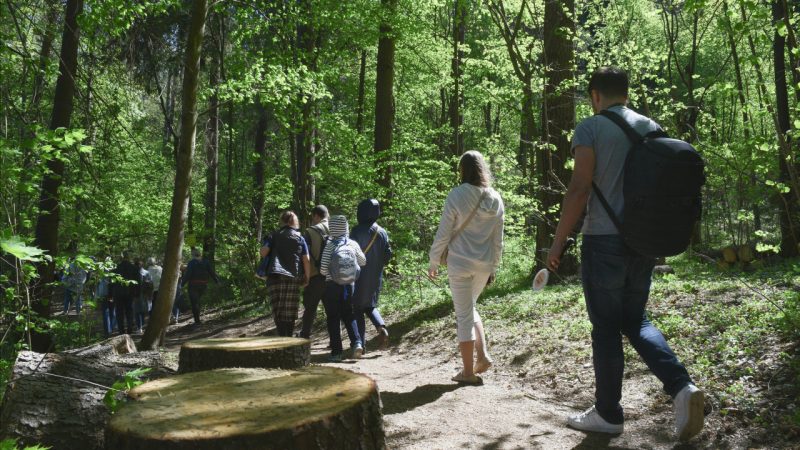 Куда пойти с детьми: 5 маршрутов загородных походов на один-два дня. Изображение номер 24