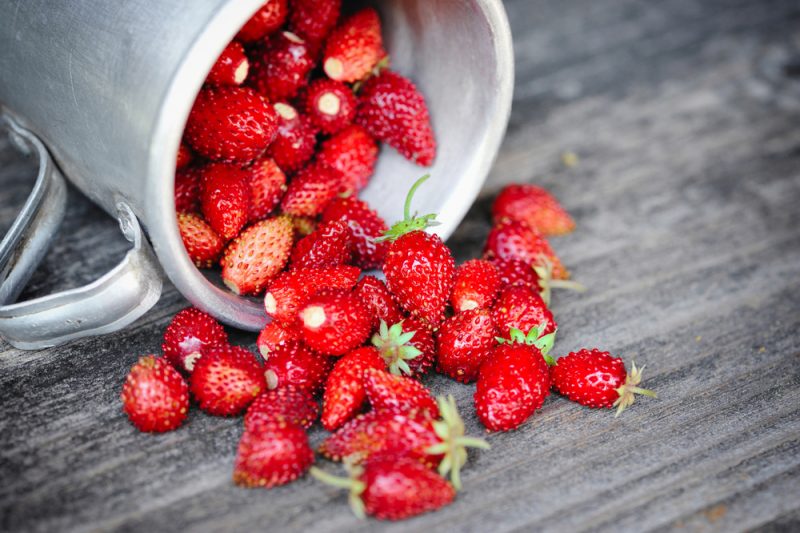 Чем полезна земляника и что приготовить из этой ягоды: 3 летних рецепта. Изображение номер 1